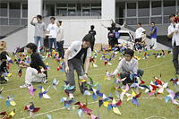 東京電機大学鳩山キャンパスでの風車の展示